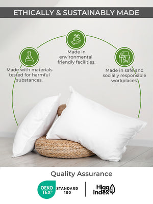 Zen 225 CVC Motley Borders Double Size Bedsheet with 2 Pillow Covers