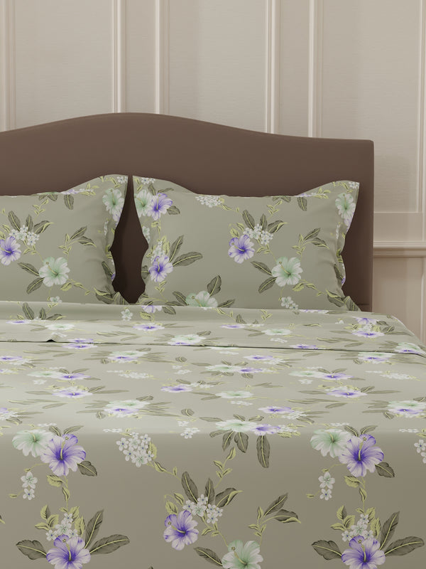 Lumina Floret 100% Cotton 144 TC Grey & Purple Floral Double Bedsheet with 2 Pillow Covers