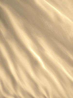 Savona 120 GSM Beige Double Reversible Comforter - Pack of 1