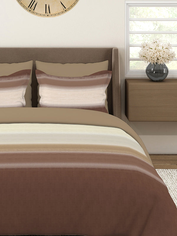 Duracount 225 CVC Brown Stripes 1 King Size Bedsheet with 2 Pillow Covers