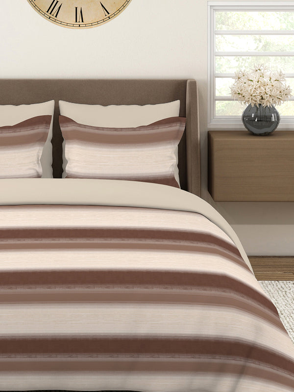 Duracount 225 CVC Brown Stripes 1 King Size Bedsheet with 2 Pillow Covers