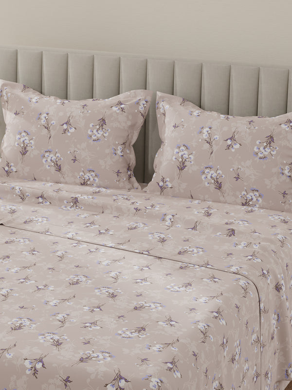 Lumina Floret 100% Cotton 144 TC Purple Floral King Bedsheet with 2 Pillow Covers