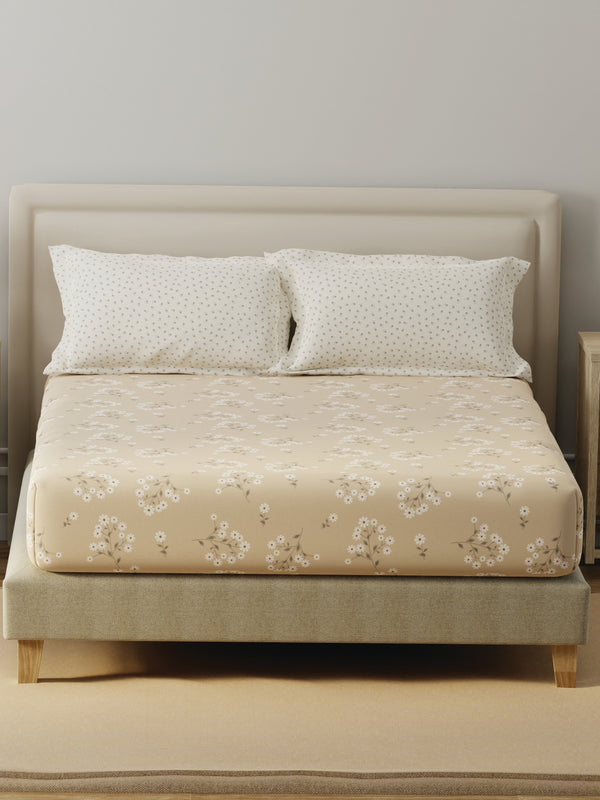 BasicX 100% Cotton 120 TC Cream Floral Double Bedsheet with 2 Pillow Covers
