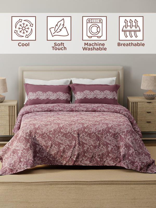 100% Cotton 120 TC, Double Bedsheet with 2 Pillow Covers - Forever