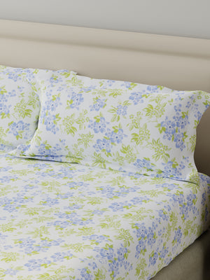 King Fitted Sheet Set, 100% Cotton 140 TC, Blue & Green Floral, Home Easy