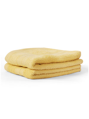 100% Cotton Hand Towel, 450 GSM, Pack of 2, Aqua Plush Collection