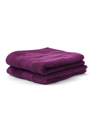 100% Cotton Hand Towel, 450 GSM, Pack of 2, Aqua Plush Collection
