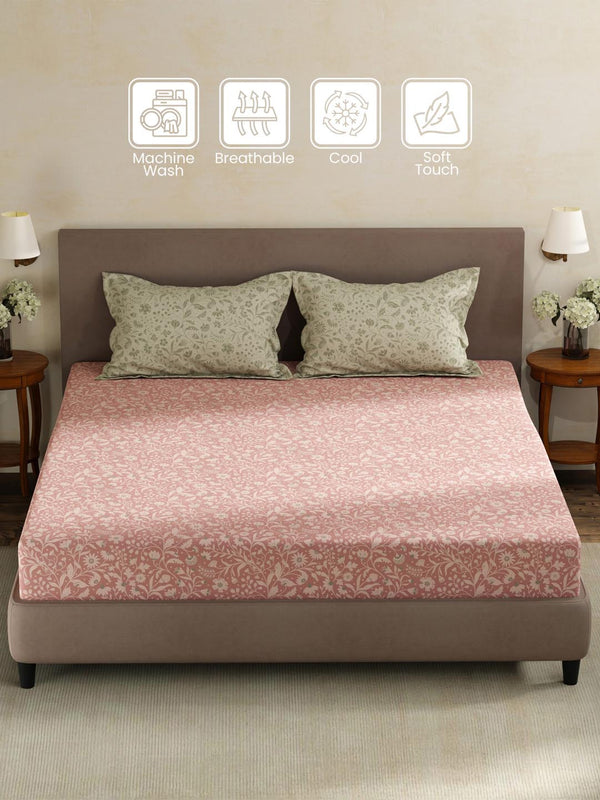 100% Cotton King Fitted Sheet Set, 180 TC Printed, Pristine Collection