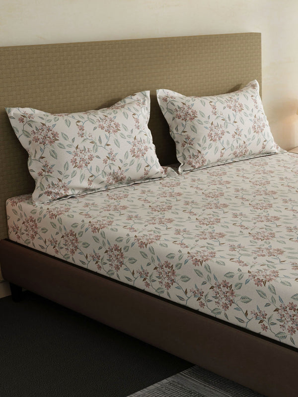 100% Cotton King Fitted Sheet Set, 144 TC Printed, Lumina Floret Collection