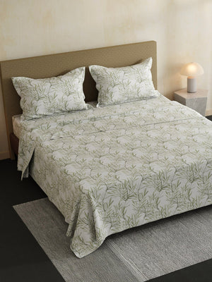 100% Cotton Double Bedsheet Set, 144 TC Printed, Lumina Floret Collection