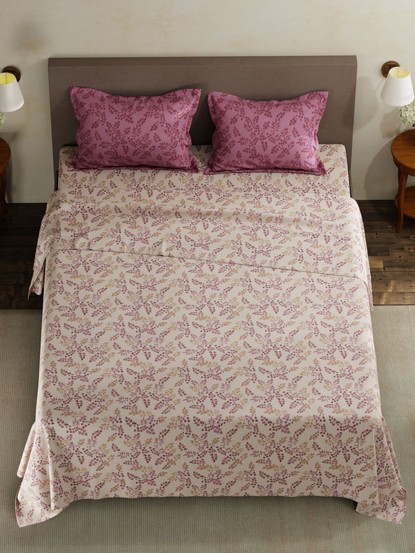 100% Cotton King Bedsheet Set, 120 TC Printed, Forever Collection