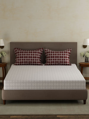 100% Cotton Double Bedsheet Set, 120 TC Printed, Forever Collection
