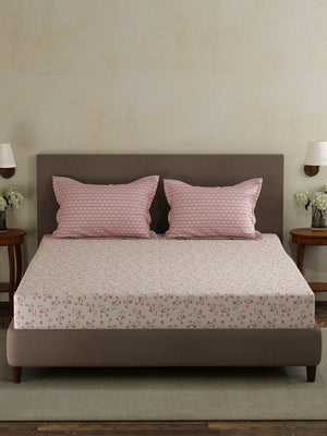 100% Cotton Double Bedsheet Set, 120 TC Printed, Forever Collection